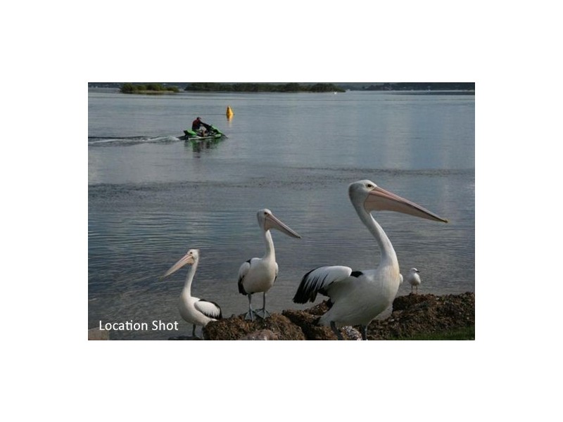 52 Soliders Road, Pelican NSW 2281