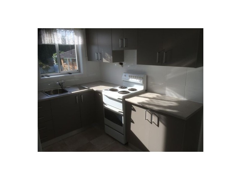 160 Myall Road, Cardiff NSW 2285