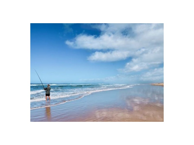 17 Jabiru Drive, Fern Bay NSW 2295