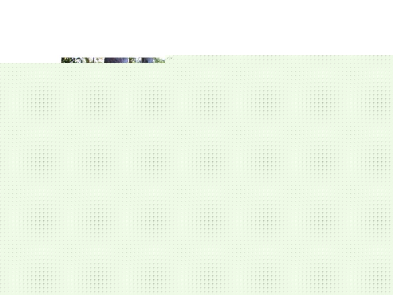 19 Gilsmere Street, Jewells NSW 2280