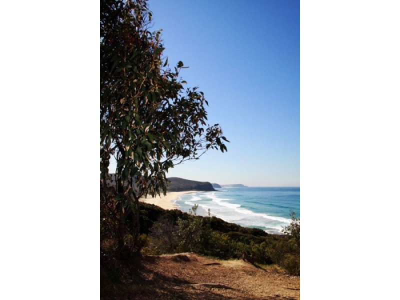 2 Garrawilla Crescent, Dudley NSW 2290