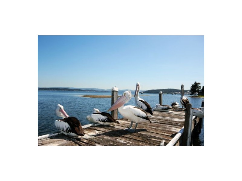 23 Marks Parade, Marks Point NSW 2280