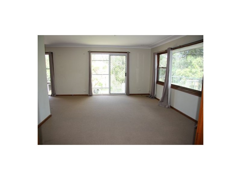 31 Kimian Avenue, Waratah West NSW 2298