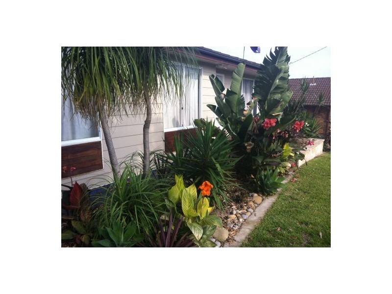 71 Alhambra Avenue, Macquarie Hills NSW 2285