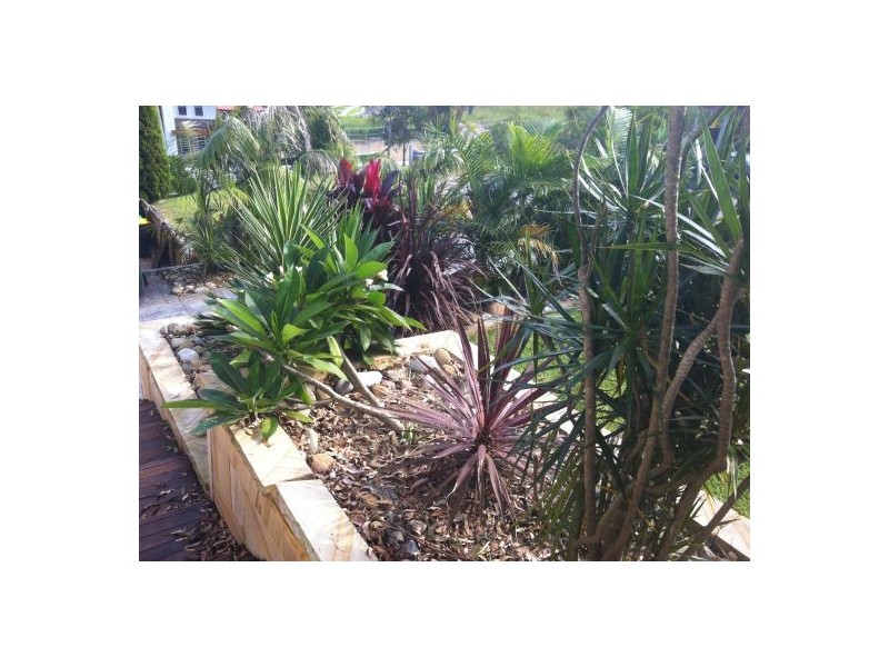 71 Alhambra Avenue, Macquarie Hills NSW 2285