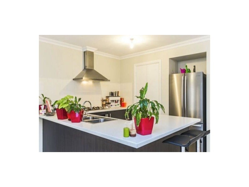 15 Champion Crescent, Gillieston Heights NSW 2321