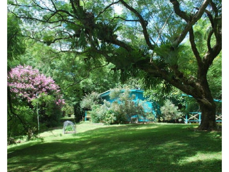 439 Mount Browne Road, Upper Orara NSW 2450