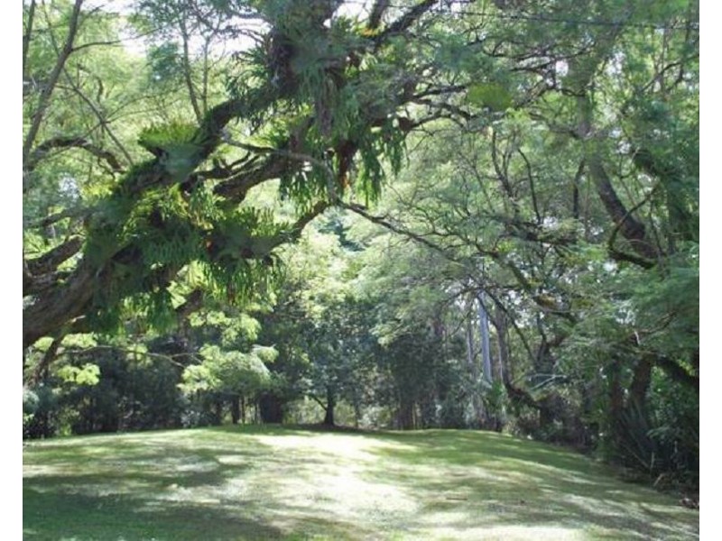 439 Mount Browne Road, Upper Orara NSW 2450