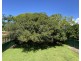 22 Mavis Street, Coffs Harbour NSW 2450