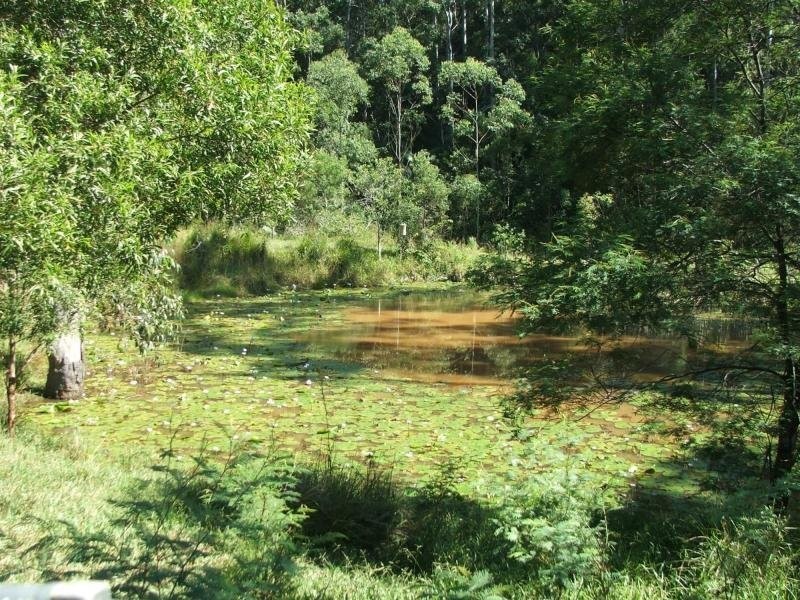 7 Gordons Knob Road, Nambucca Heads NSW 2448