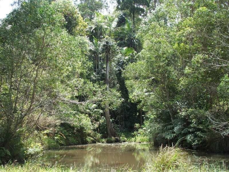 7 Gordons Knob Road, Nambucca Heads NSW 2448