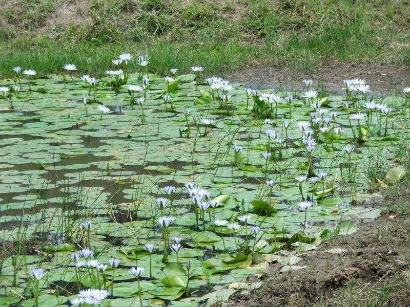 7 Gordons Knob Road, Nambucca Heads NSW 2448