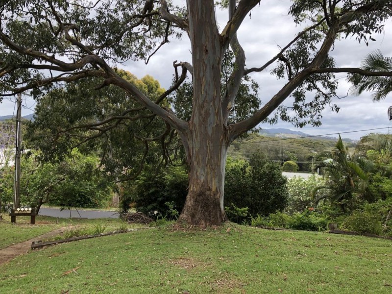 1/1 Bent Street, Coffs Harbour NSW 2450