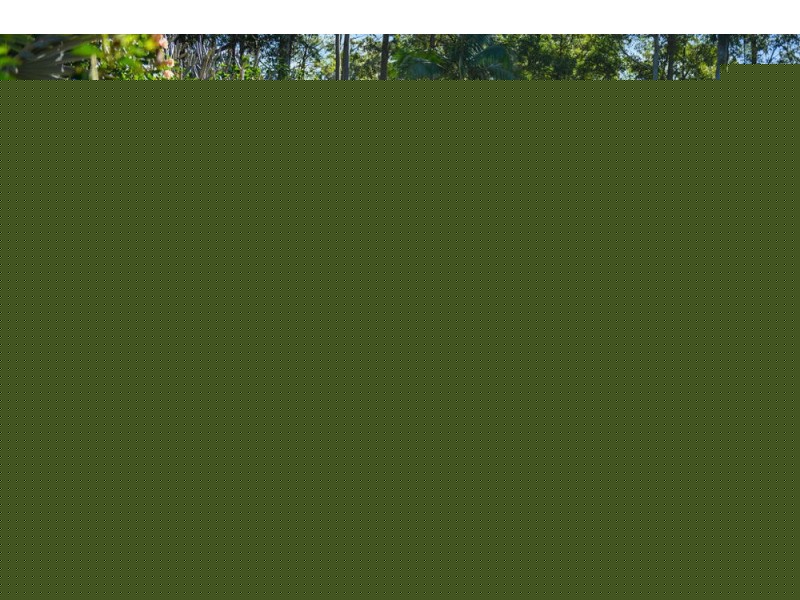 17 Colonial Court, Moonee Beach NSW 2450