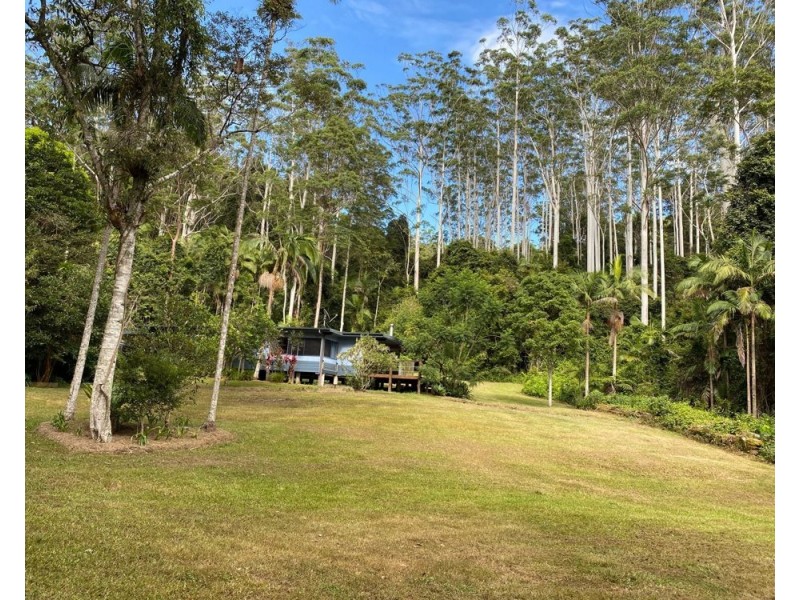 40 Swans Road, Bucca NSW 2450