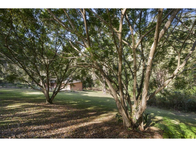 8 Old Coast Road, Repton NSW 2454