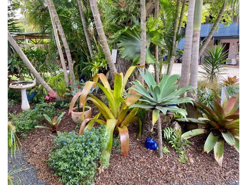 2/1859 Solitary Islands Way, Woolgoolga NSW 2456