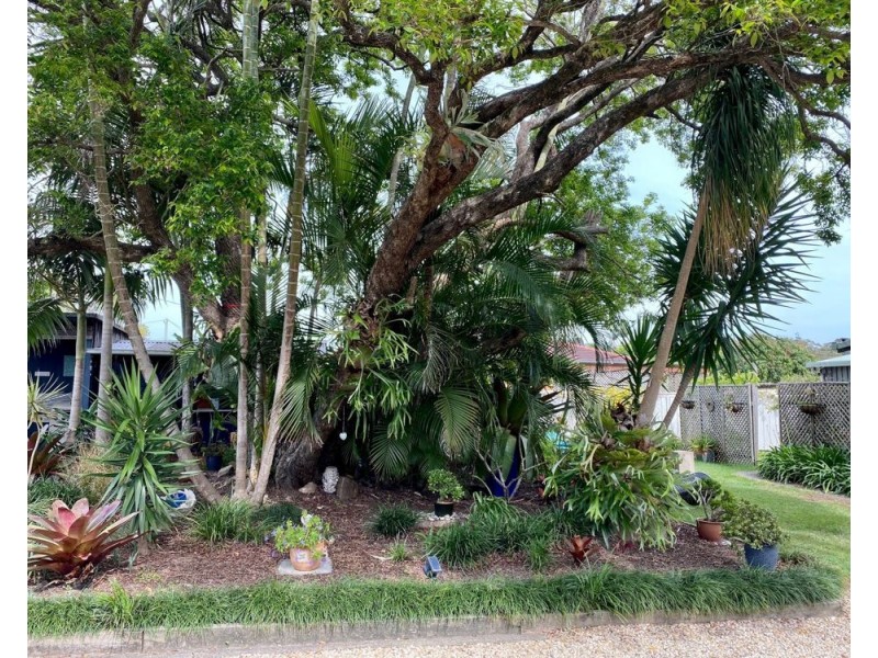3/1859 Solitary Islands Way, Woolgoolga NSW 2456