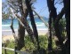 8 Maple Road, Sandy Beach NSW 2456