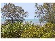 Nudgee Beach QLD 4014