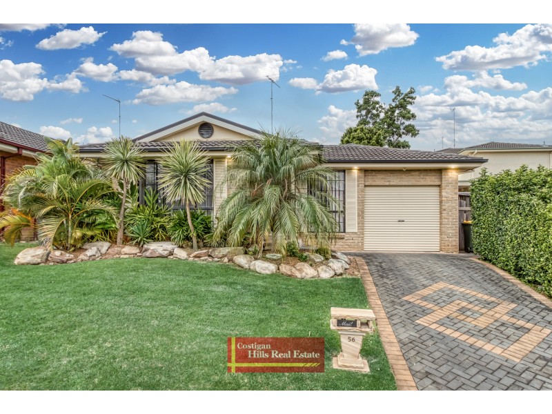 56 Muccillo Street, Quakers Hill NSW 2763