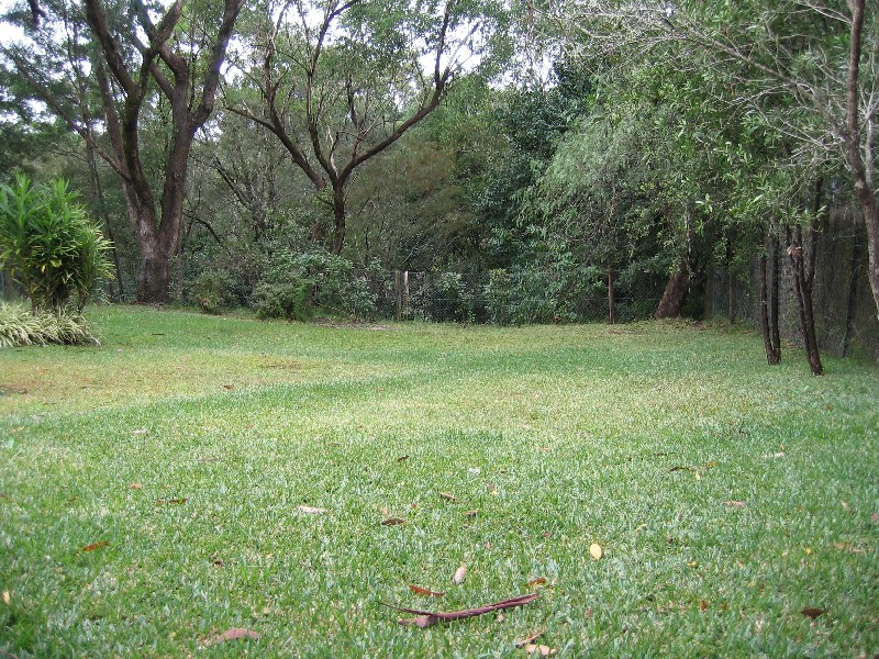 29 Howson Avenue, Turramurra NSW 2074
