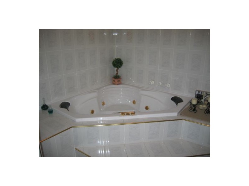 17 Wyalong Street, Willoughby NSW 2068