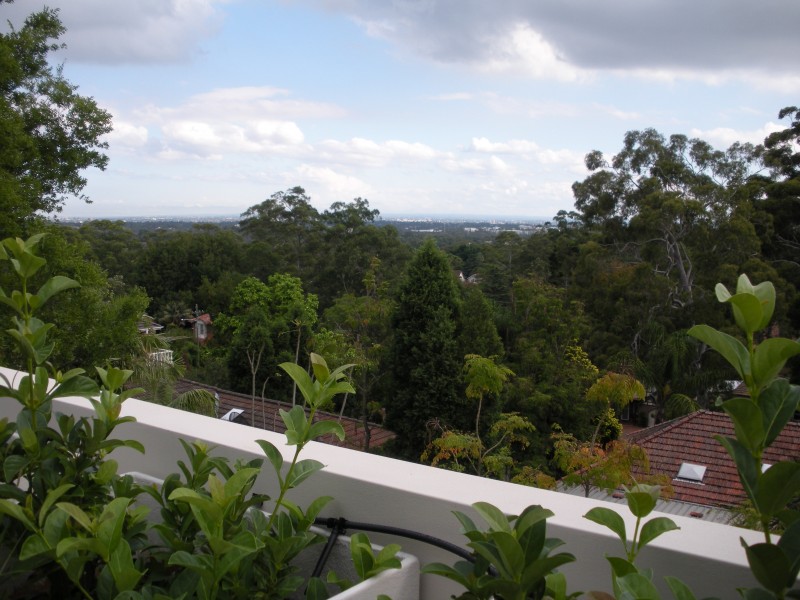 1/2 Fiddens Wharf Road, Killara NSW 2071