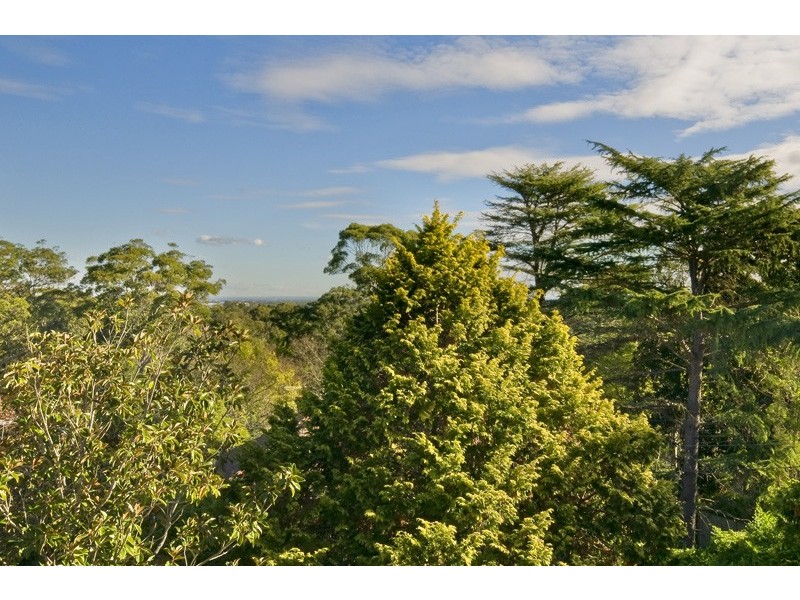 3/276 Pacific Highway, Lindfield NSW 2070