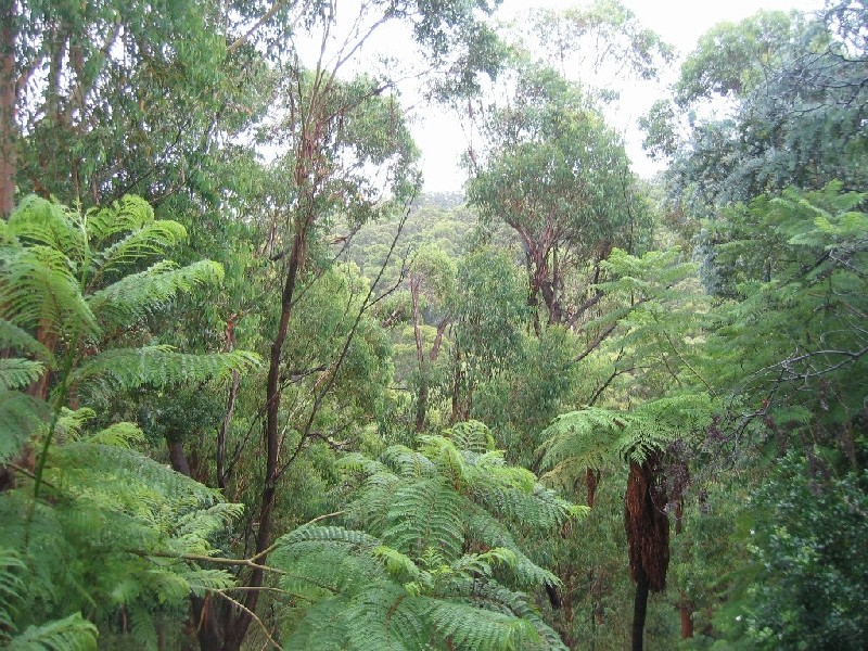 40 The Comenarra Park Way, West Pymble NSW 2073