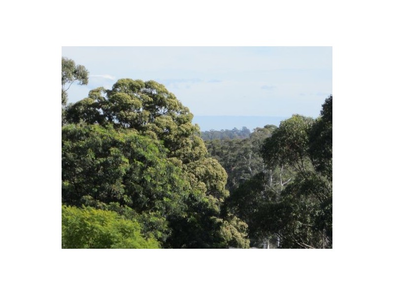 594 Pennant Hills Road, West Pennant Hills NSW 2125