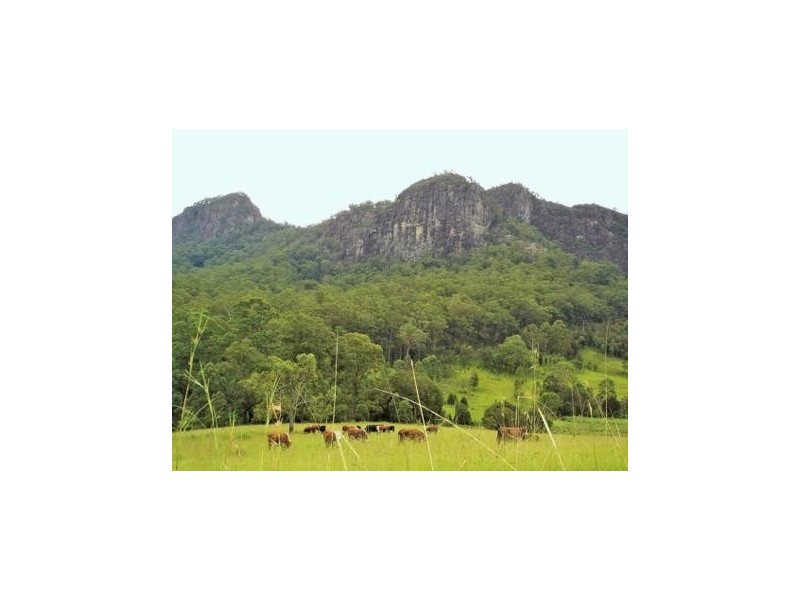 543 Barrington East Road, Gloucester NSW 2422