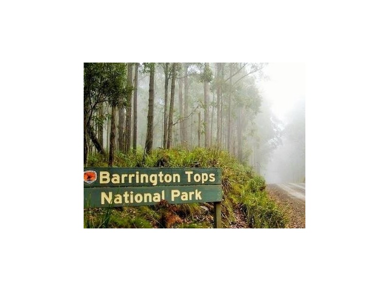 543 Barrington East Road, Gloucester NSW 2422