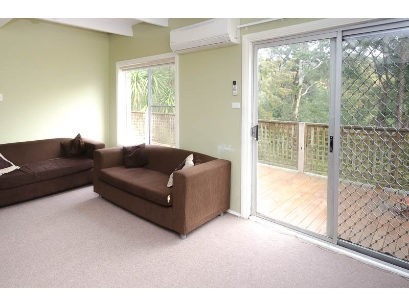 53 Carolina Park Road, Avoca Beach NSW 2251