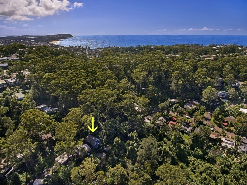 21 Palmgrove Place, North Avoca NSW 2260