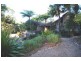 Lot 2 Country View Close, Picketts Valley NSW 2251