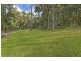 101 Picketts Valley Road, Picketts Valley NSW 2251
