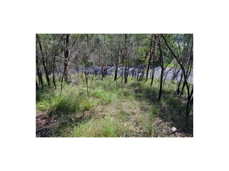 161 Glenworth Valley Rd, Wendoree Park NSW 2250