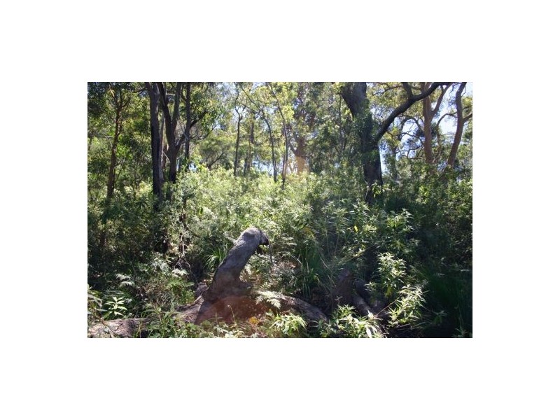 38 Cogra Bay, Cogra Bay NSW 2083