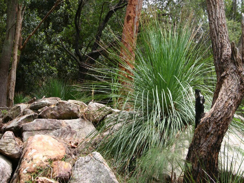 36 Lot 36, Little Wobby NSW 2256