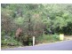 5582 Wisemans Ferry Road, Gunderman NSW 2775