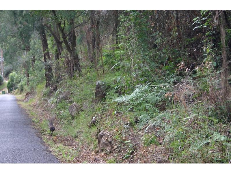 5582 Wisemans Ferry Road, Gunderman NSW 2775