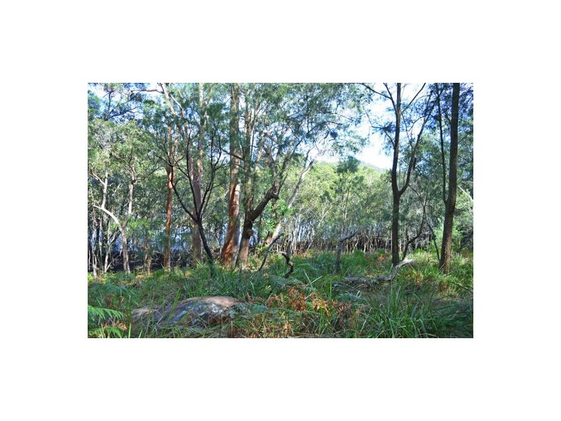 Lots 5 & 6 Big Jims, Bar Point NSW 2083