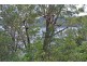 26a Riverview Ave, Dangar Island NSW 2083