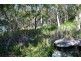 41 Milsons Passage, Milsons Passage NSW 2083