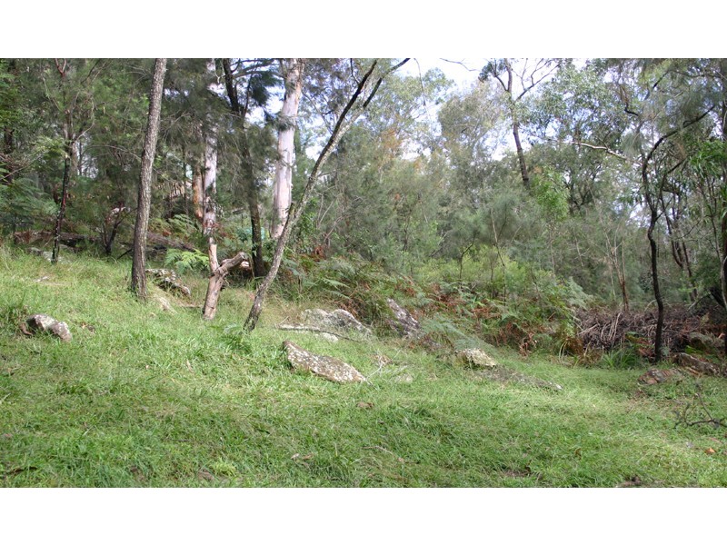 Wendoree Park NSW 2250