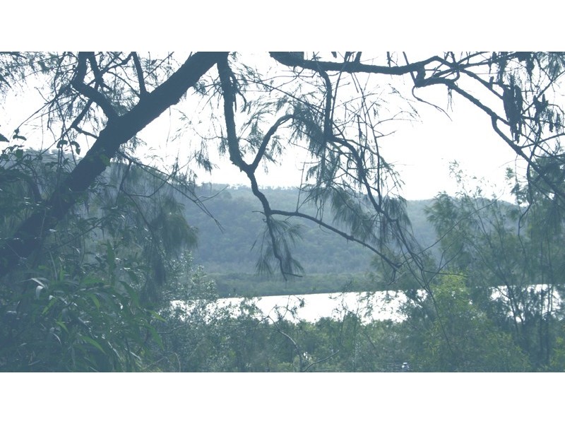 Wendoree Park NSW 2250