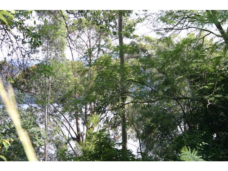 Gunderman NSW 2775