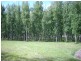 St Albans NSW 2775