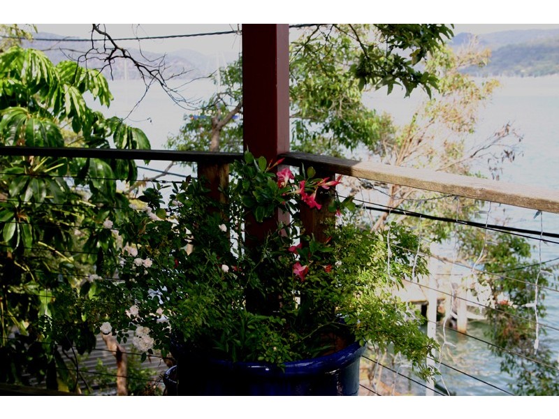 Little Wobby NSW 2256